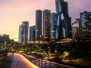 In a fusion of neon-lit streets and gritty urban landscapes, explore Western cities that embody the cyberpunk genre, blending technology with counter-culture.