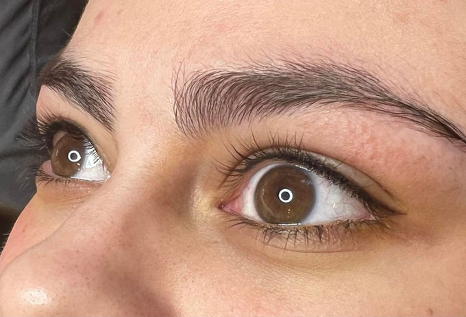 tc-brows-microblading.jpeg
