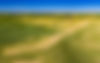 Palouse Aerial.jpg