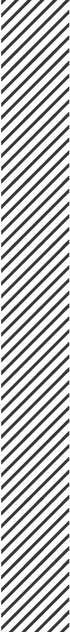 条.png