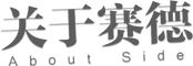 小标题-关于赛德.png