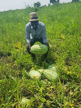 WhatsApp Image 2025-05-15 at 10.47.06_80dedeff.jpg