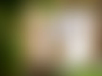 どんなお席でお食事会を・・・