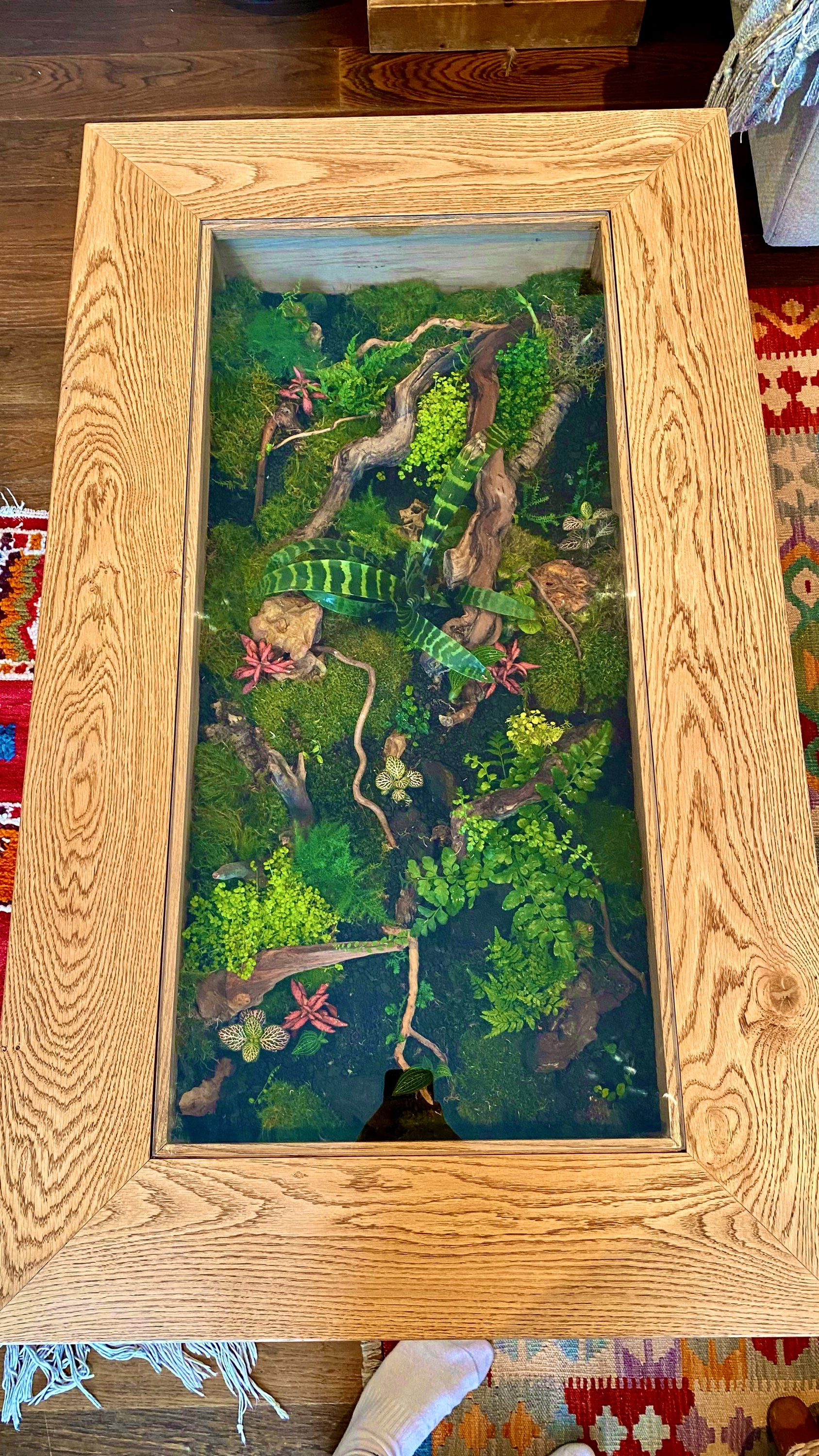 Coffee Table Terrarium