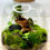 Thumbnail: Jewel Terrarium #3
