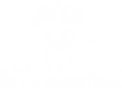 02-logo-UFRO-blanco-vertical-1-scaled.png
