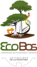 EcoBos_logo_COLOR.png
