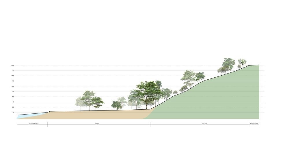 The Short Cut - a behind the scenes of the creative pulse of our practice, our thoughts and inspirations.