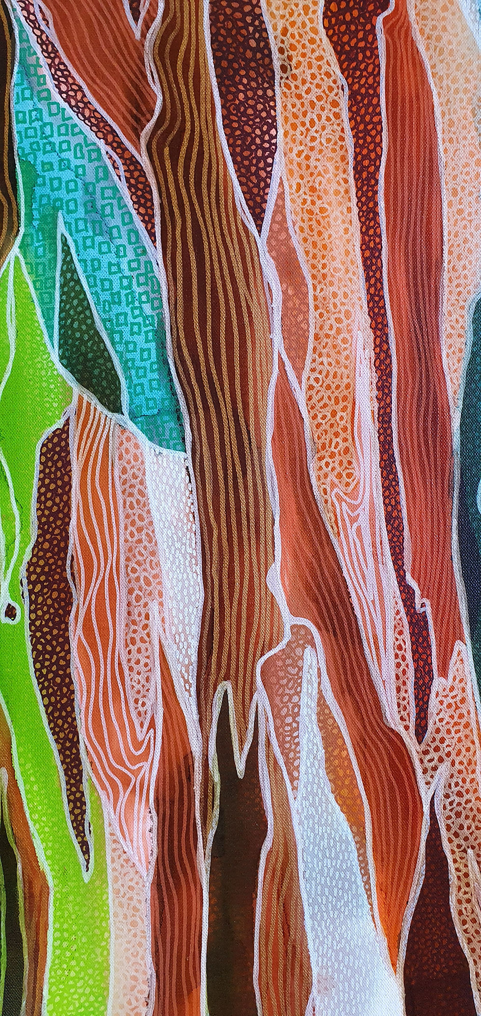 Thumbnail: Rainbow Gum - Painted Bark