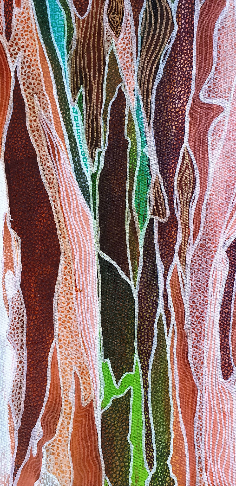 Thumbnail: Rainbow Gum - Painted Bark