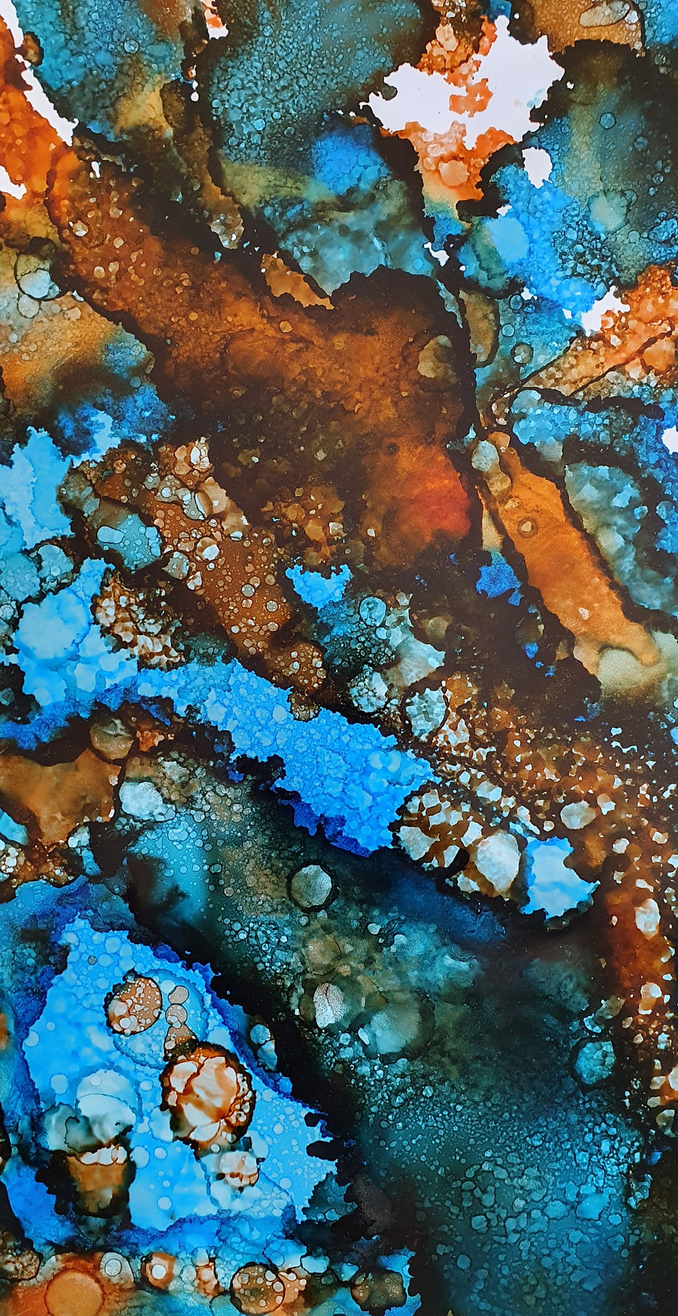 Thumbnail: Calypso Reef