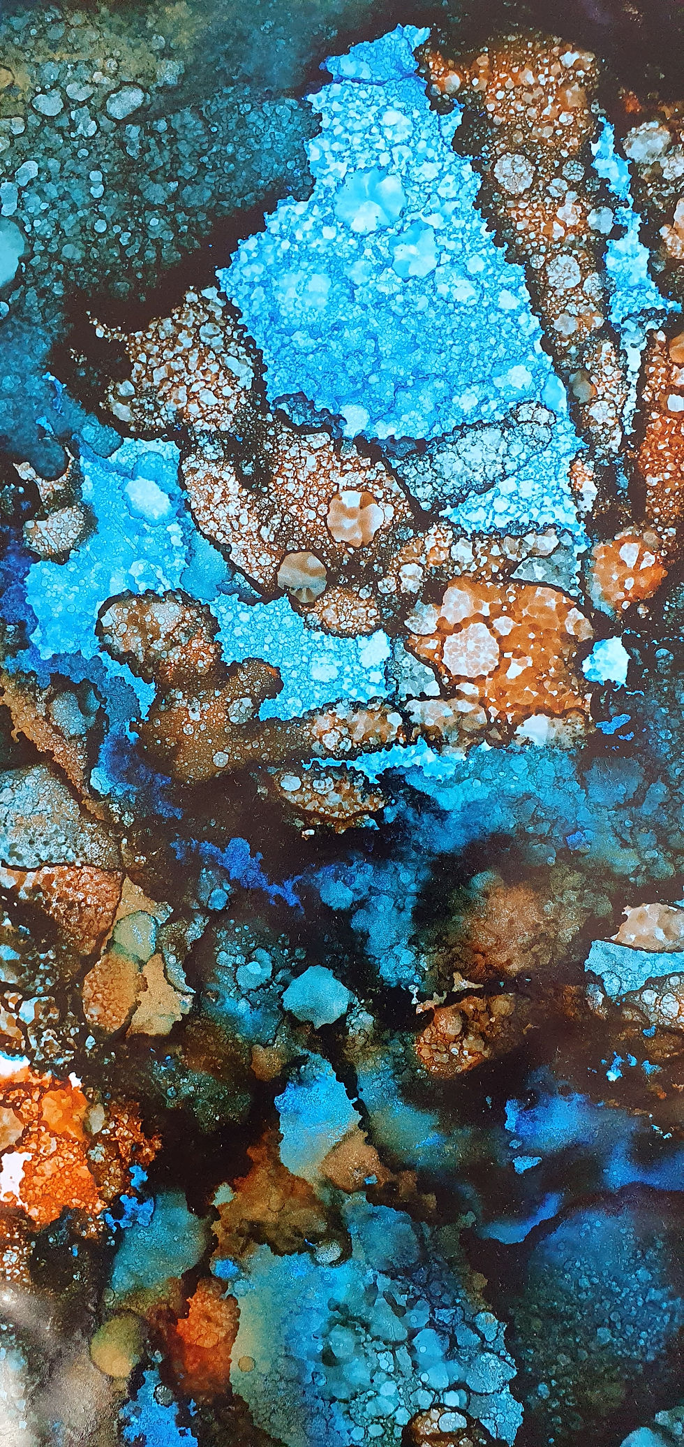 Thumbnail: Calypso Reef