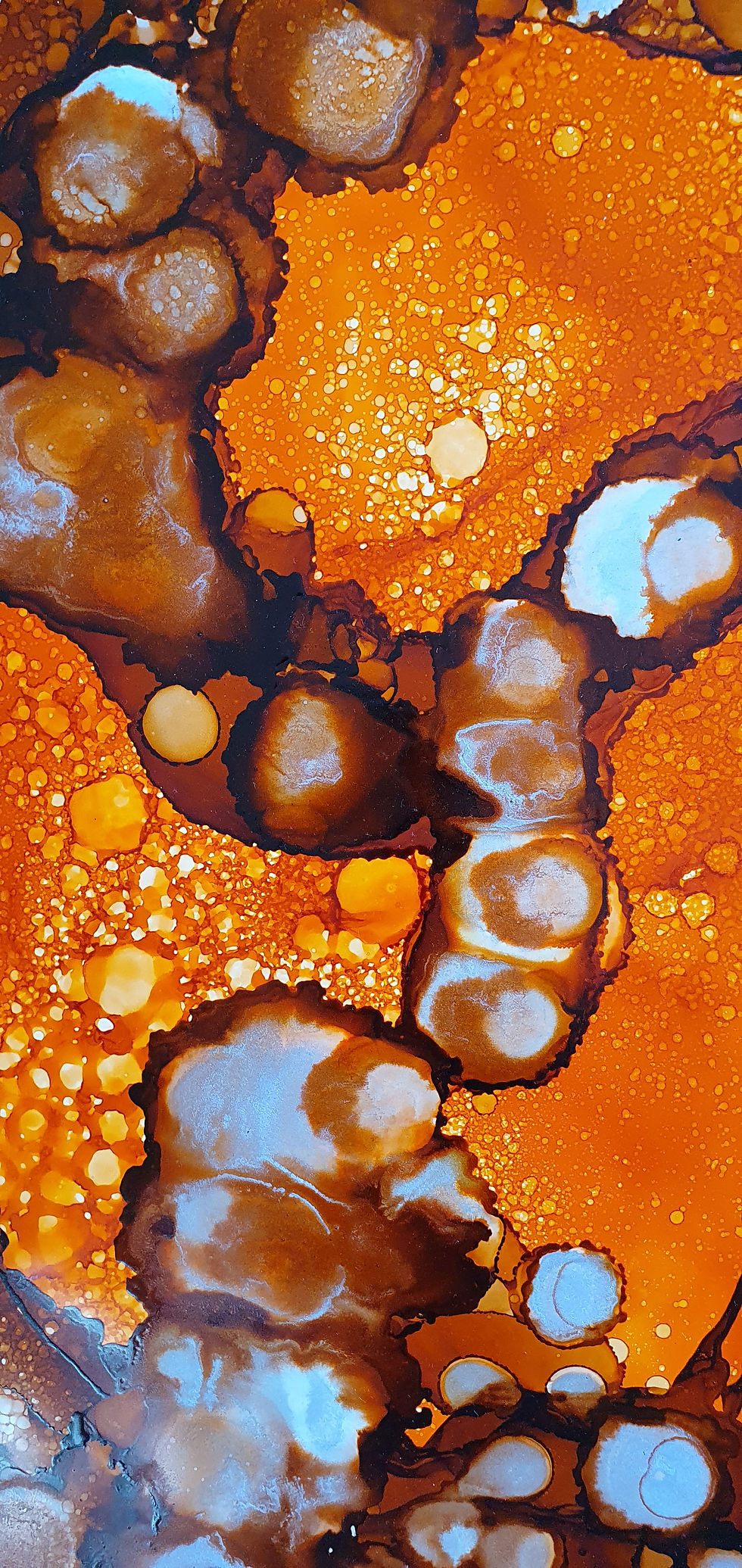 Thumbnail: Orange Reefs