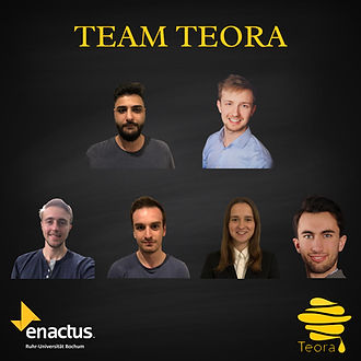 Teora Group Photo