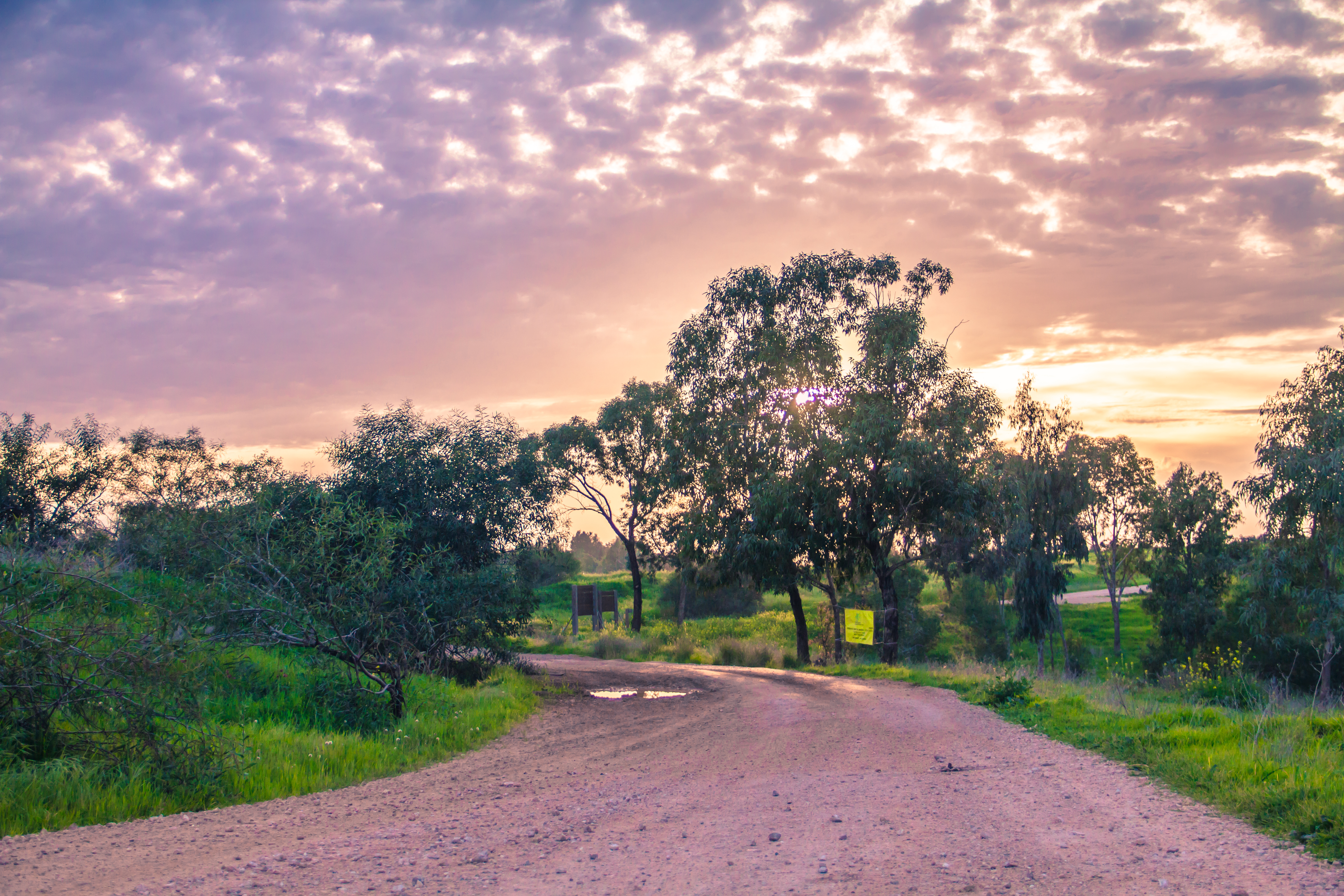 The Road Not Taken