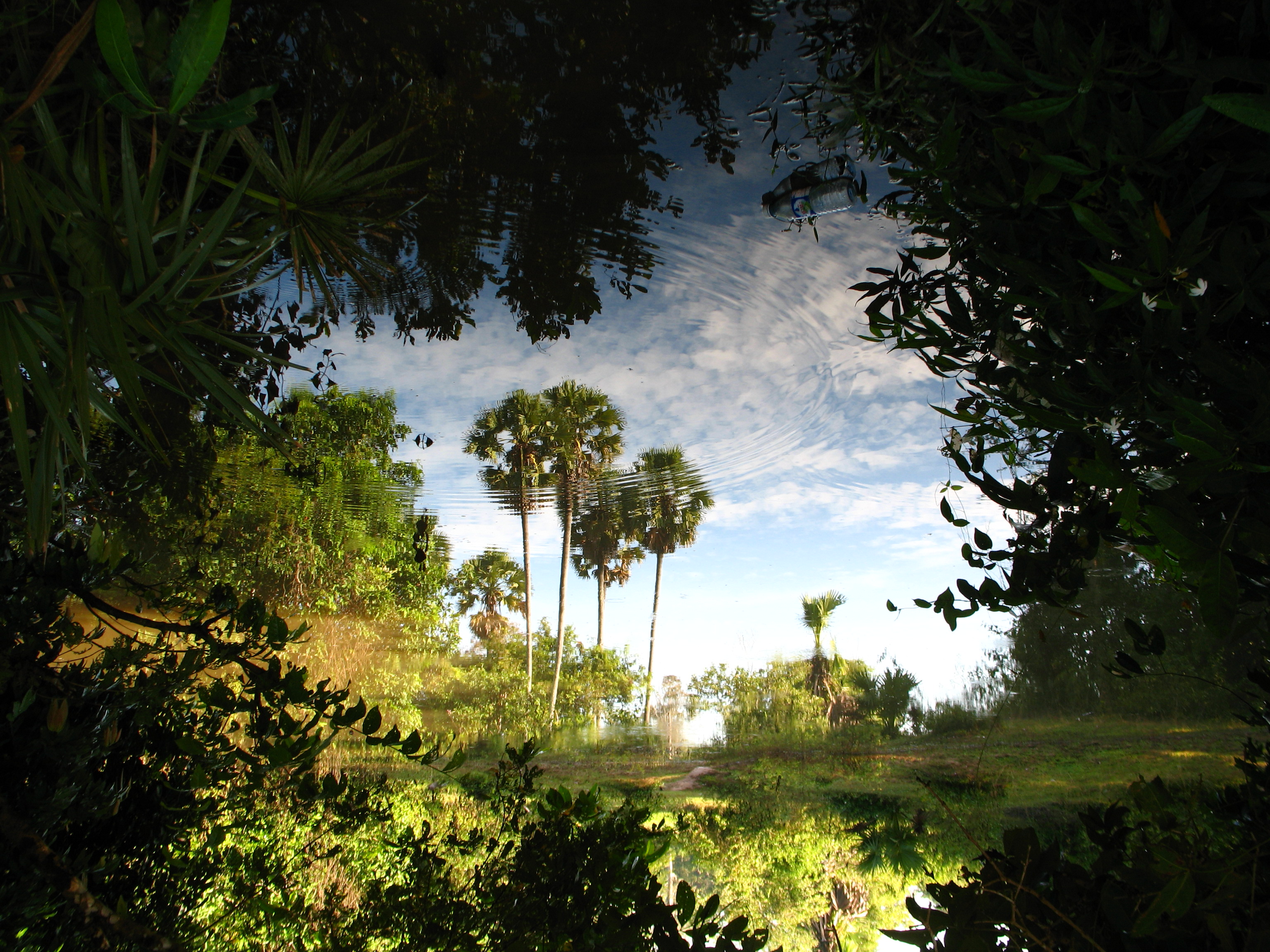 Hidden Paradise