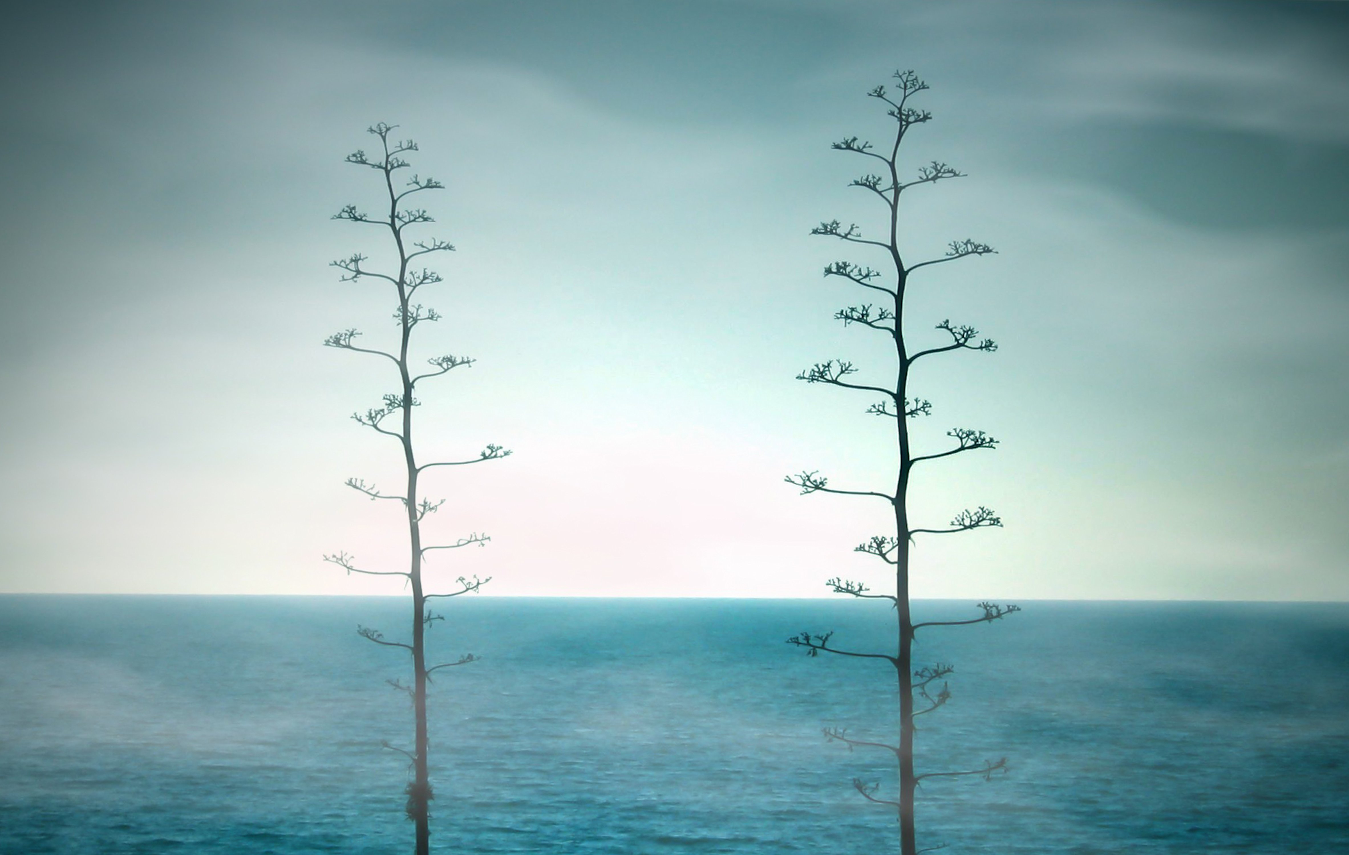 The Silence