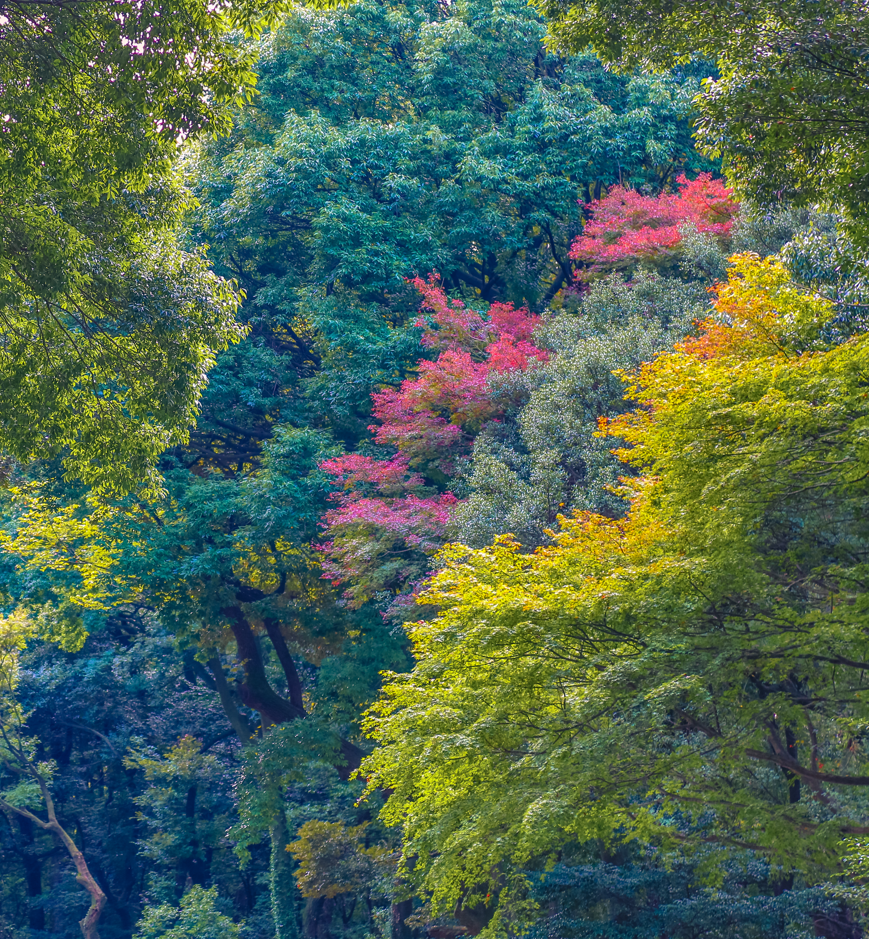 Layers Of Color