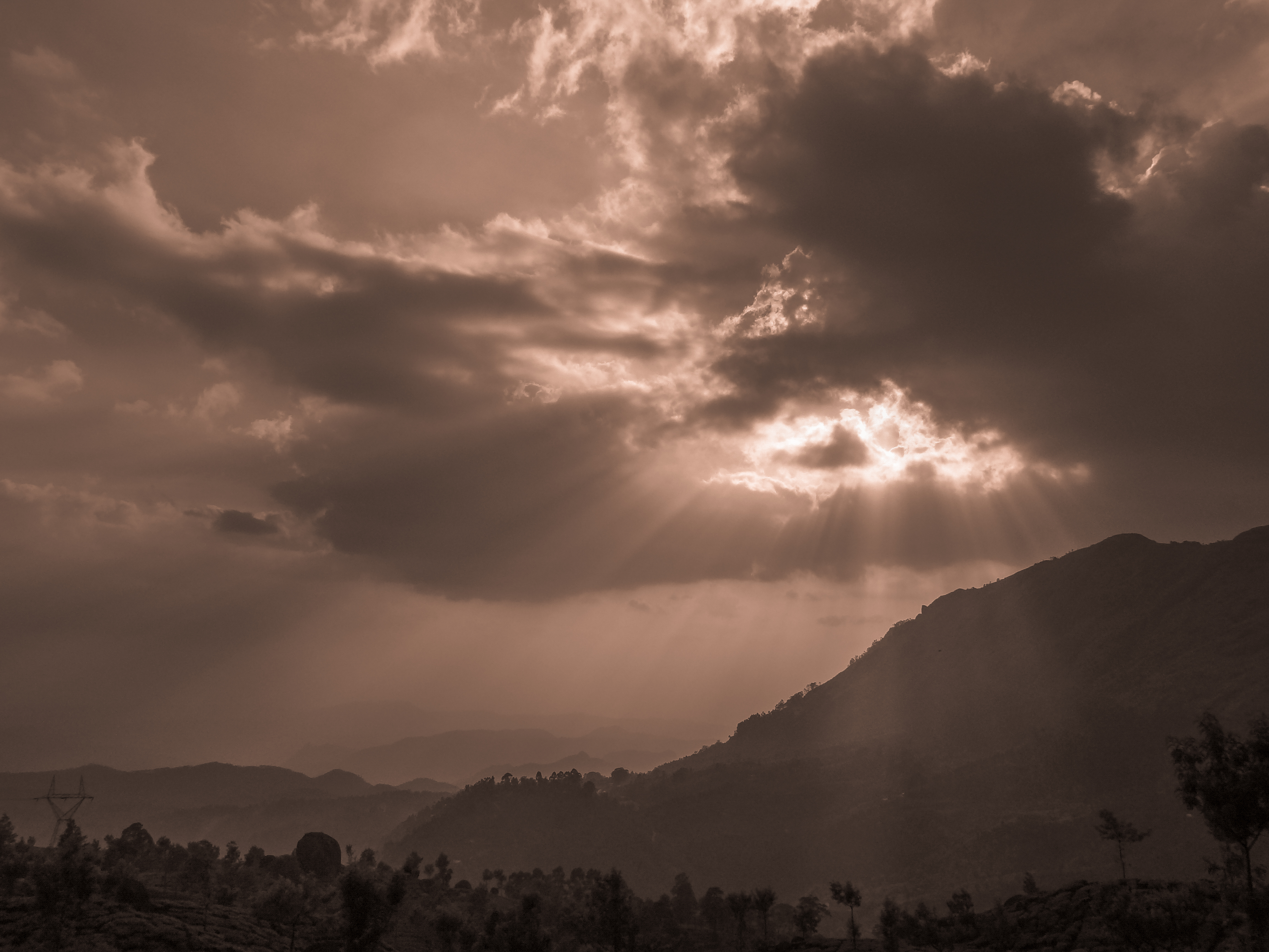 Sunlight