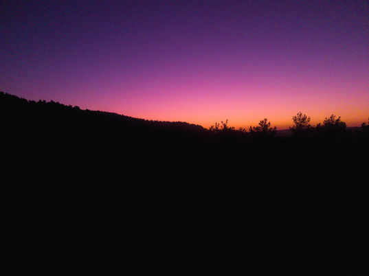 20210829_192635-01.jpeg
