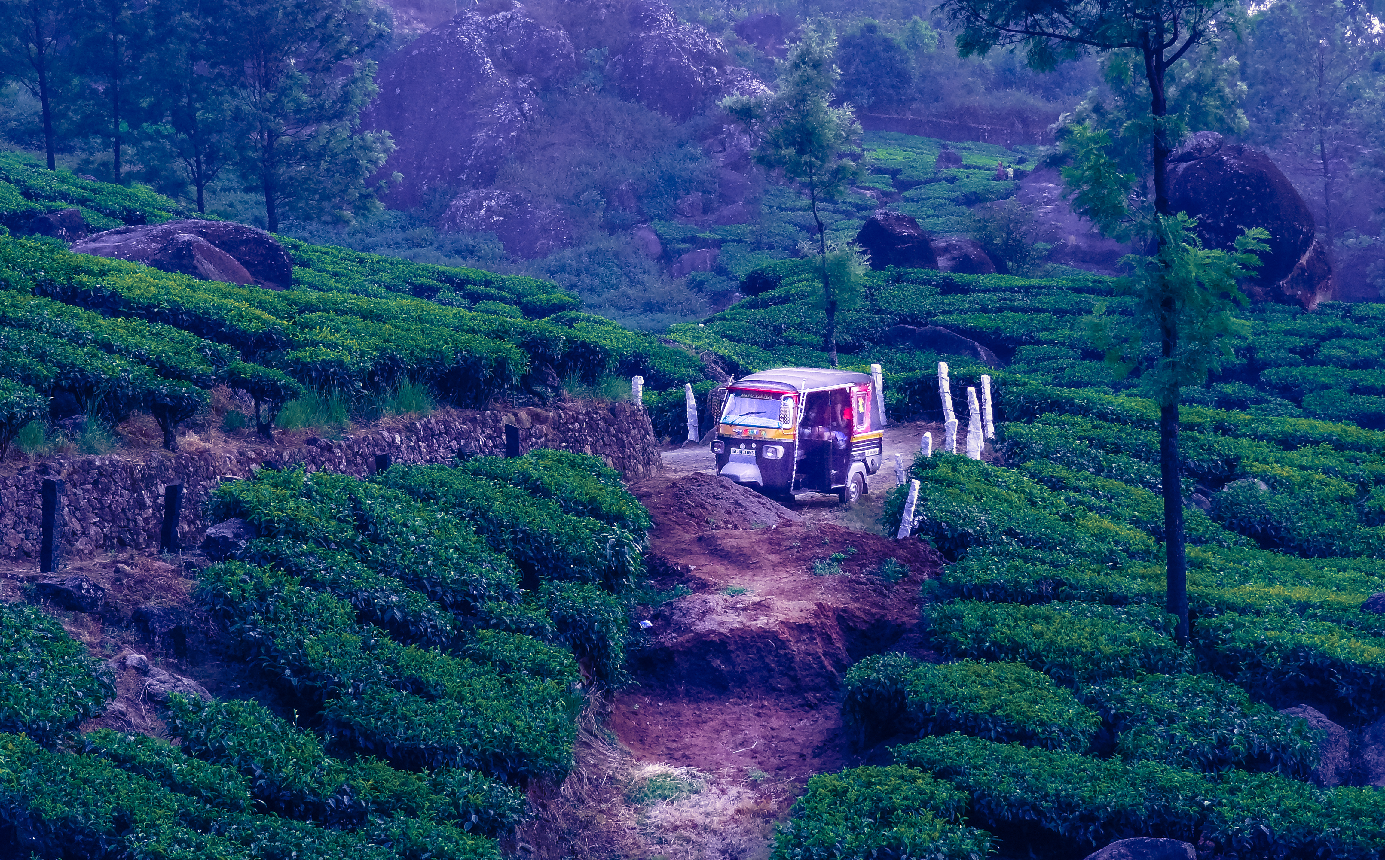 Magical Munnar