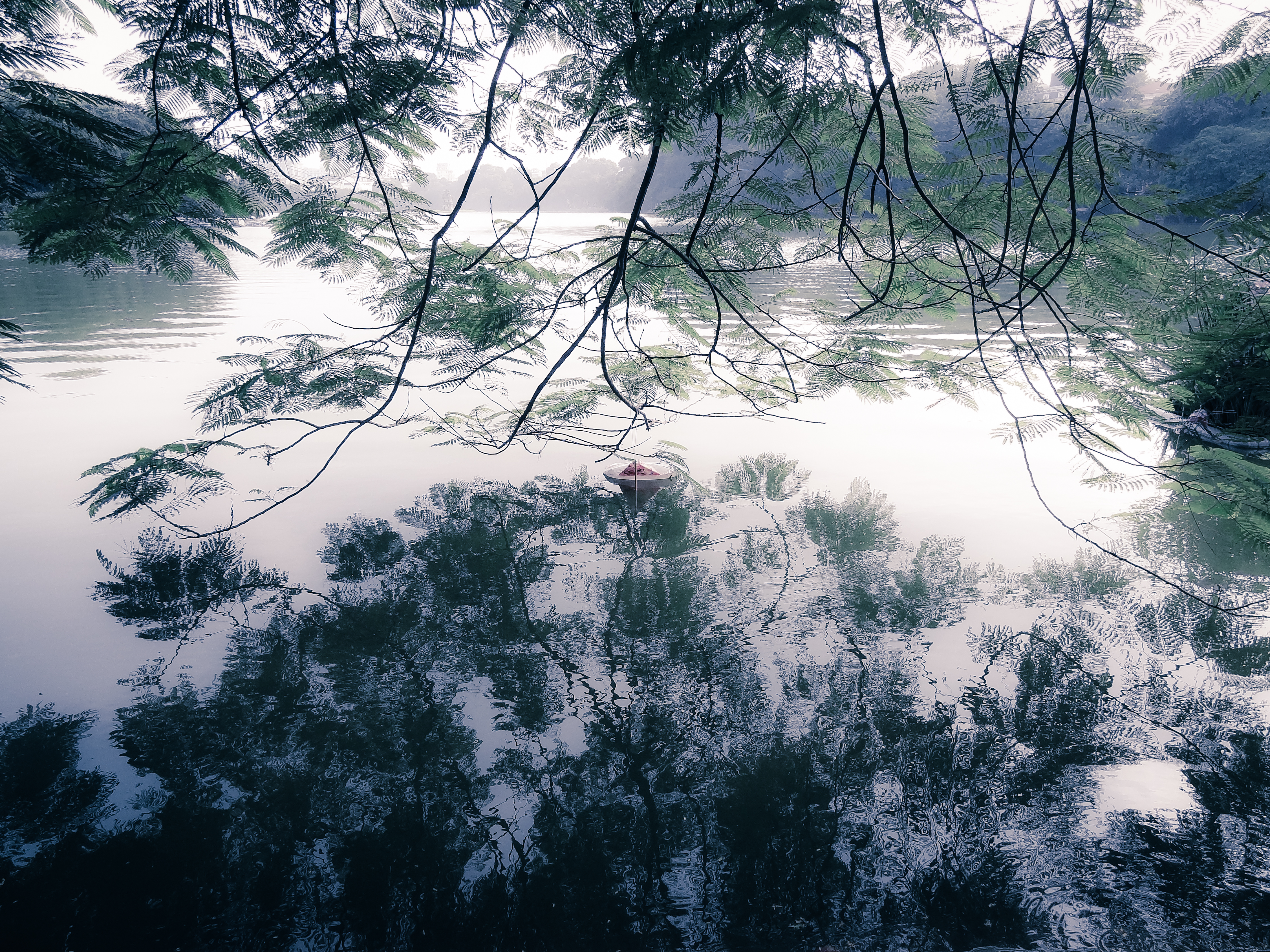 Misty Dreamwalk