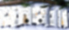 Boxes with Christmas themed pictures hanging on a fir tree branch
