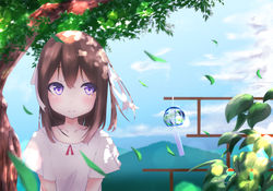 残暑
