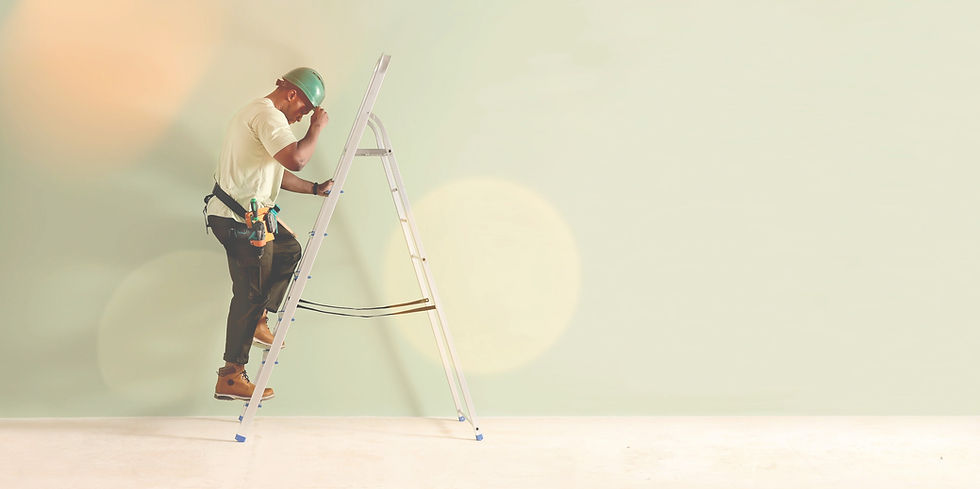 Worker with Ladder_edited_edited.jpg