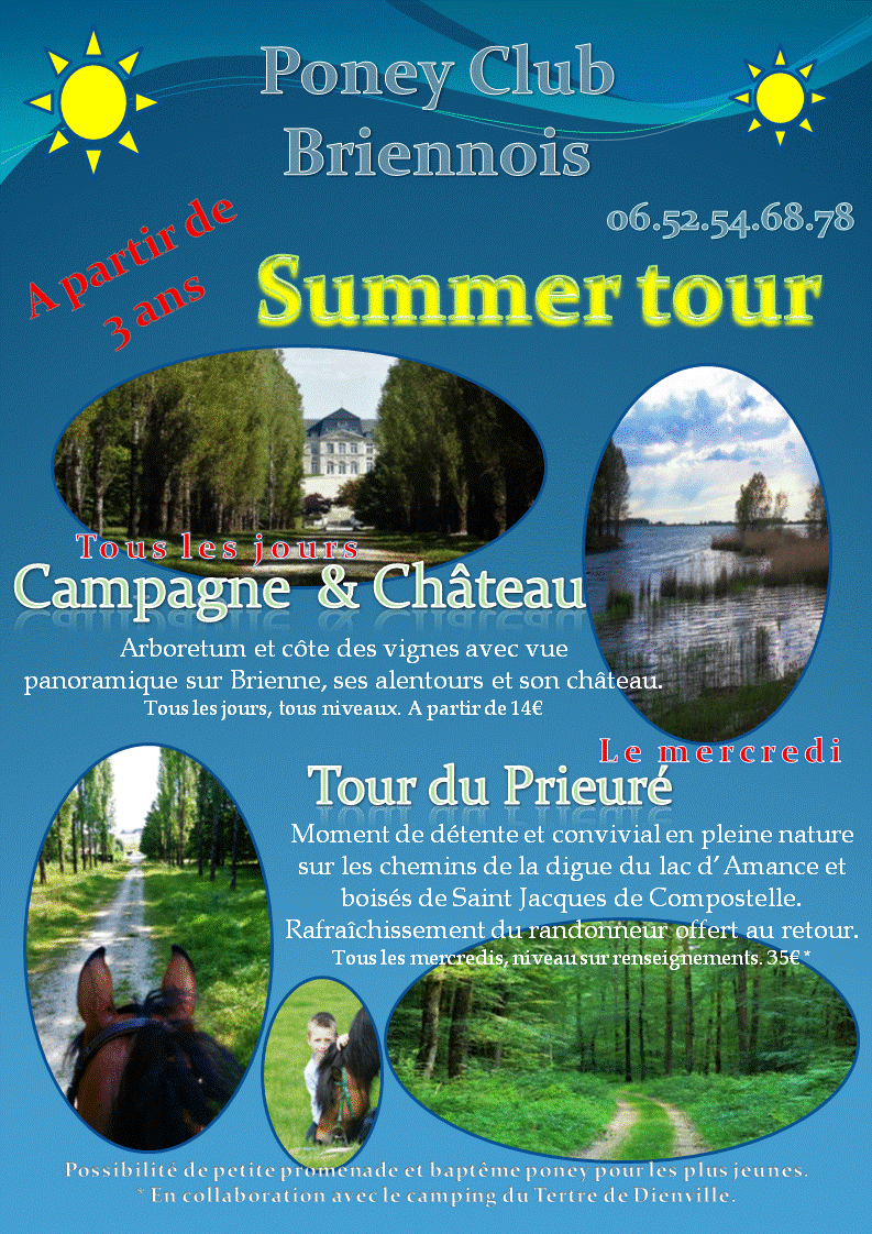 affiche summer tour.gif