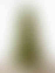 Balsam Hill LED Christmas Tree