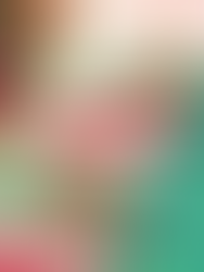 Adairs Christmas Bonbons