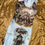 Thumbnail: "Ovarii"-- from The Dresscode, of MBCV