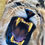 Thumbnail: "Goldie"-- from The Wild-Life Series, of MBCV  [ Unisex ]