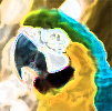 Parot.png