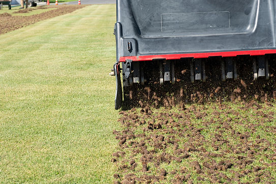 Pile of plugs of soil removed from sports field. Waste of core aeration technique used in