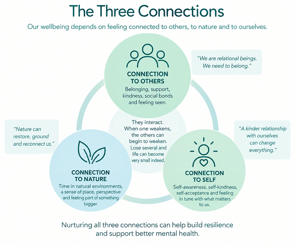 Three Connections diagram showing connection to others, connection to nature, and connection to self as interconnected foundations that can support mental health and wellbeing.