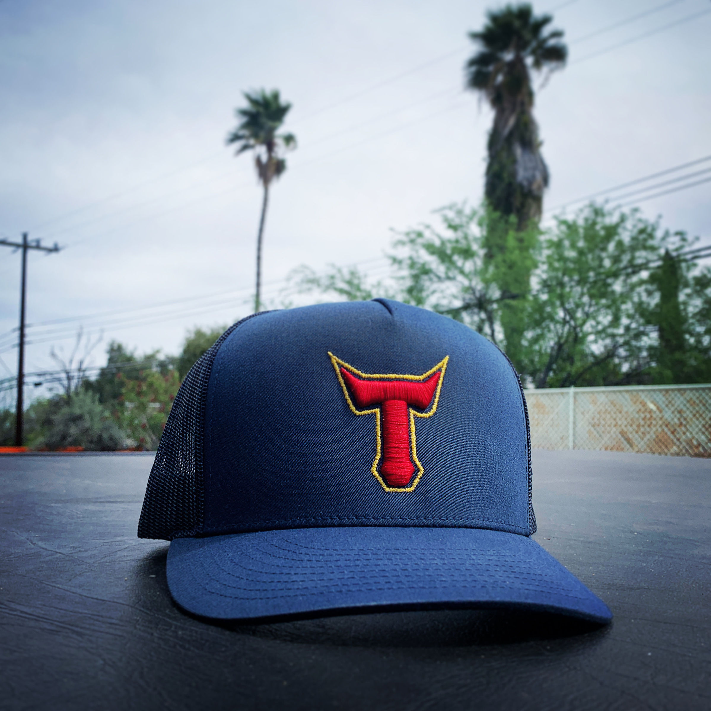 "T" for Tucson Hat
