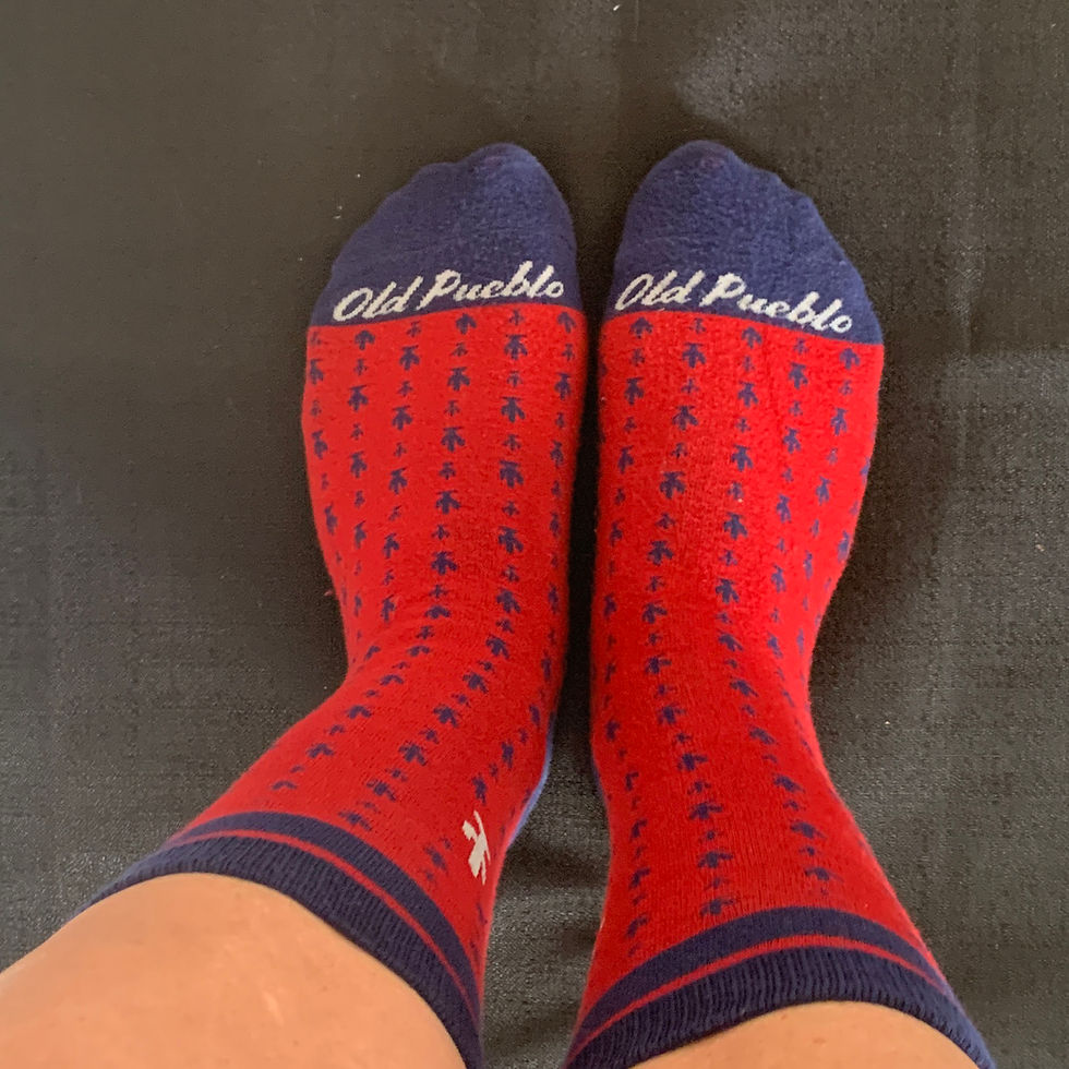 Thumbnail: Cactus Socks: Red/Navy