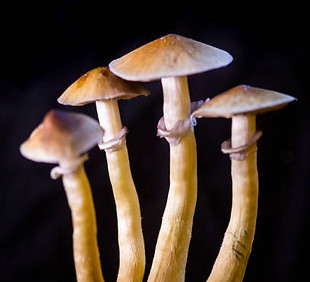 istockphoto-1128280999-612x612.jpg