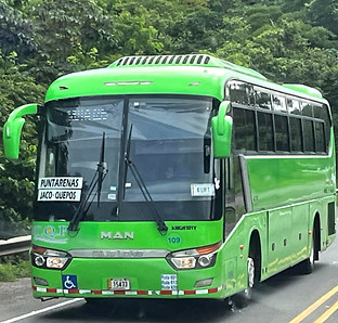 bus_orig.jpg