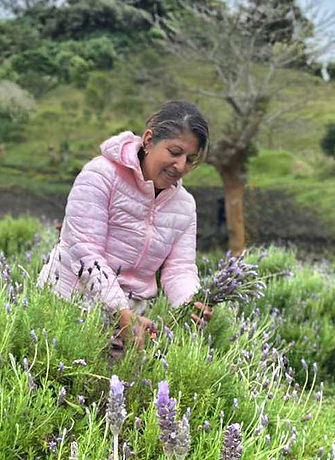 marylyn-guevara-picking-lavender_orig.jpg