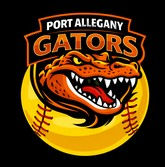 Area High School Softball Game Results