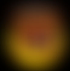 Area High School Softball Game Results