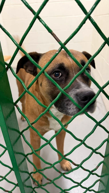 Do You Recognize Me?