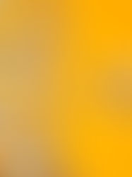 “Sticks, Stones, and the Lie We All Grew Up With” - Old Towne Counseling