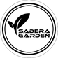Gemini_Generated_Image_pjn18dpjn18dpjn1-removebg-preview.png