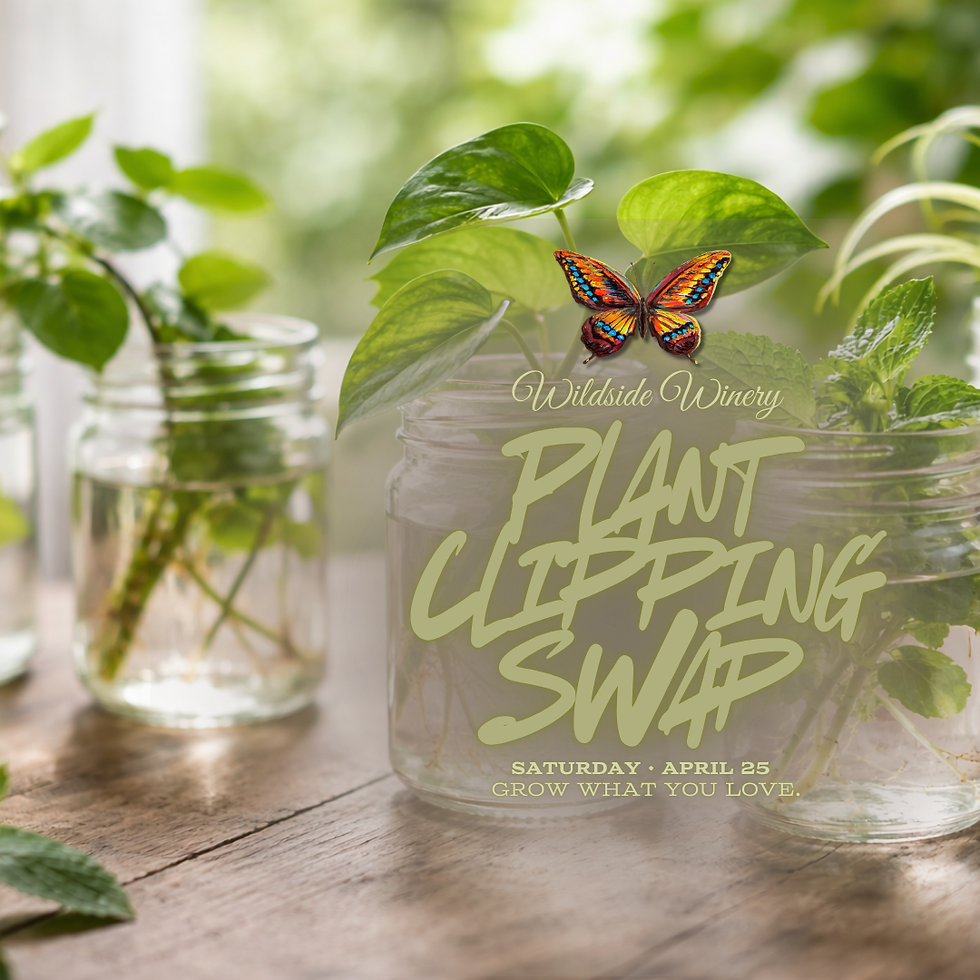 🌿 Plant Clipping Swap at Wildside 🌿