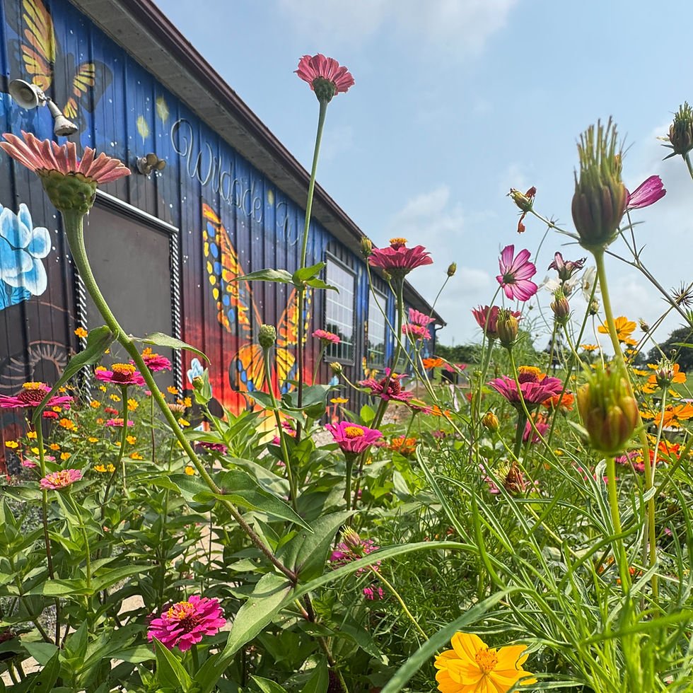 Slow Down. Summer Is Blooming at Wildside Winery.