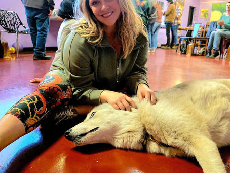 Wine, Words, Yoga & Yacht Rock